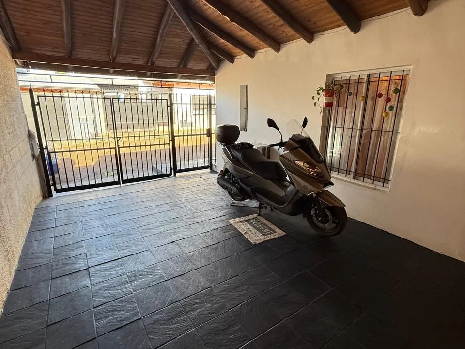 Morrogh Bernard 410