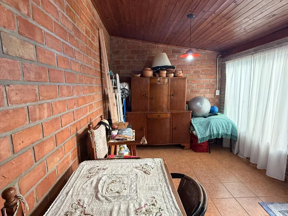 Morrogh Bernard 410